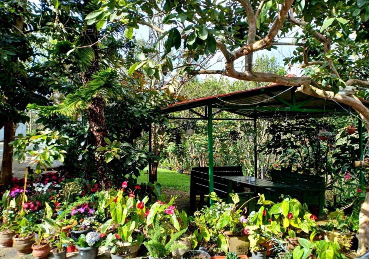 Silver Spruce Entire Nature Villa Kotagiri Dış mekan fotoğraf