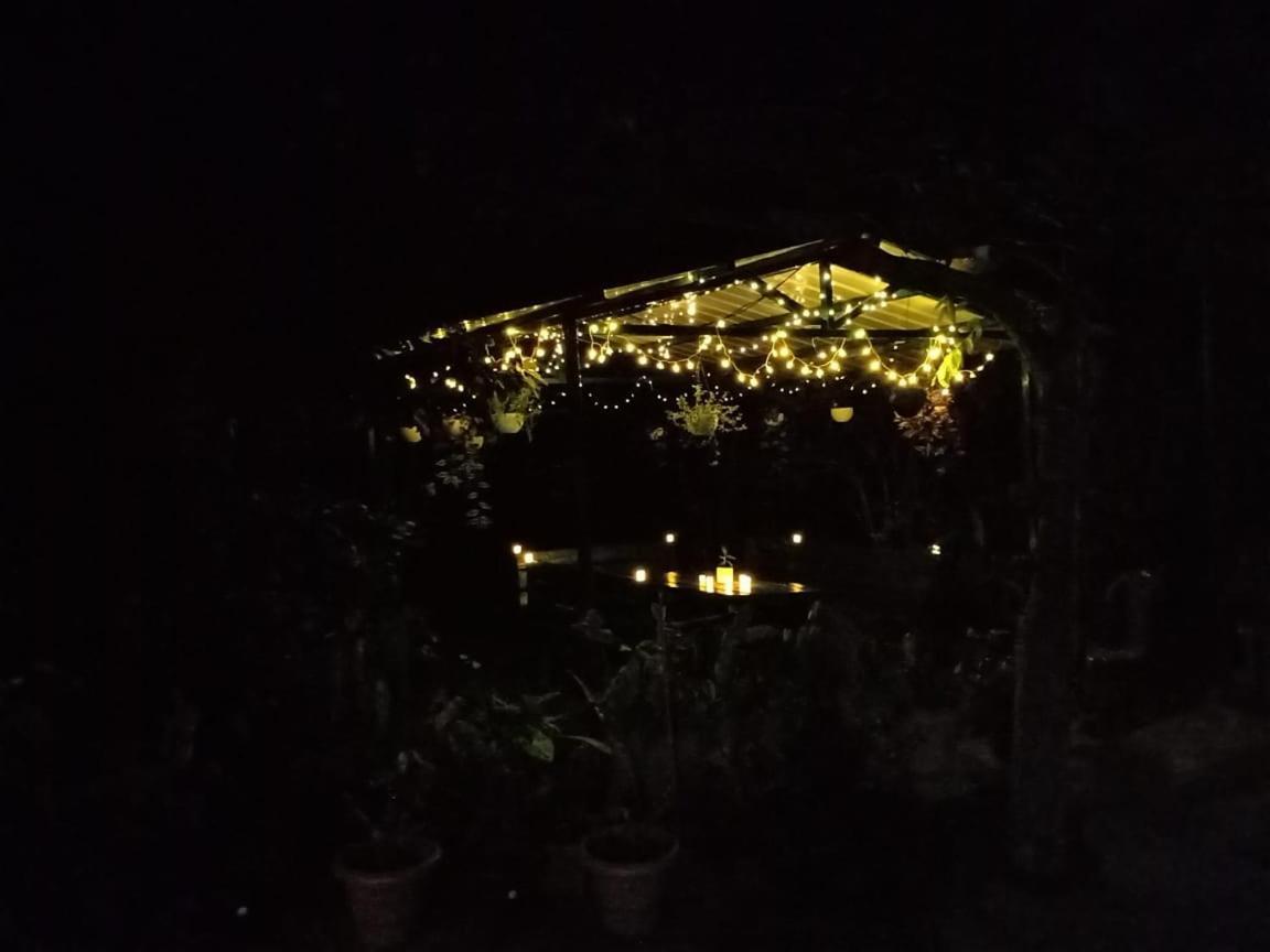 Silver Spruce Entire Nature Villa Kotagiri Dış mekan fotoğraf