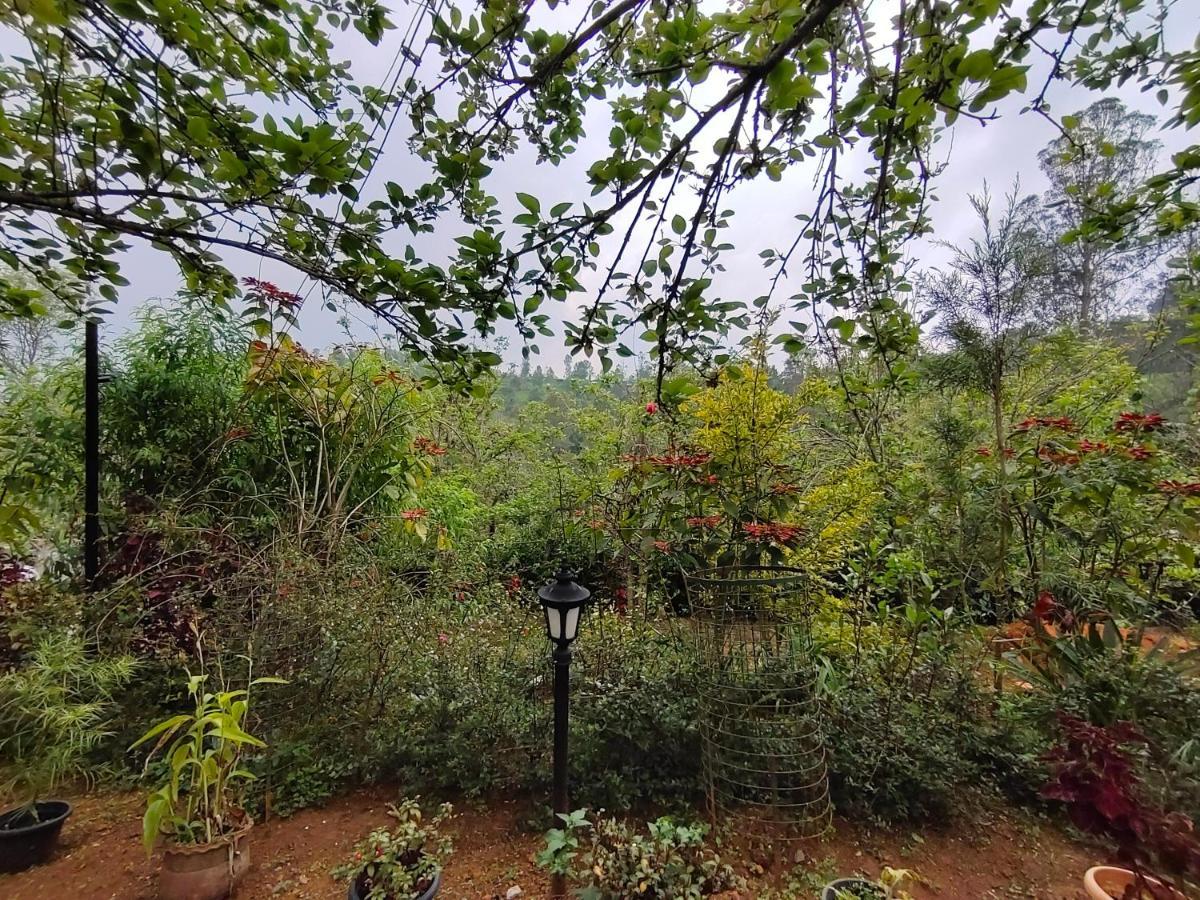 Silver Spruce Entire Nature Villa Kotagiri Dış mekan fotoğraf