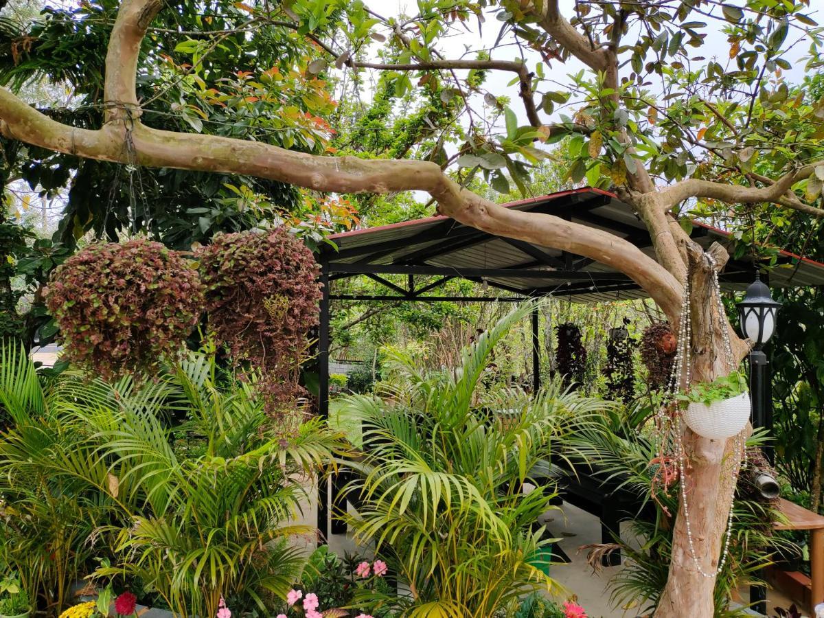 Silver Spruce Entire Nature Villa Kotagiri Dış mekan fotoğraf
